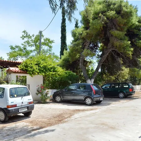 Miranta - & Aegina